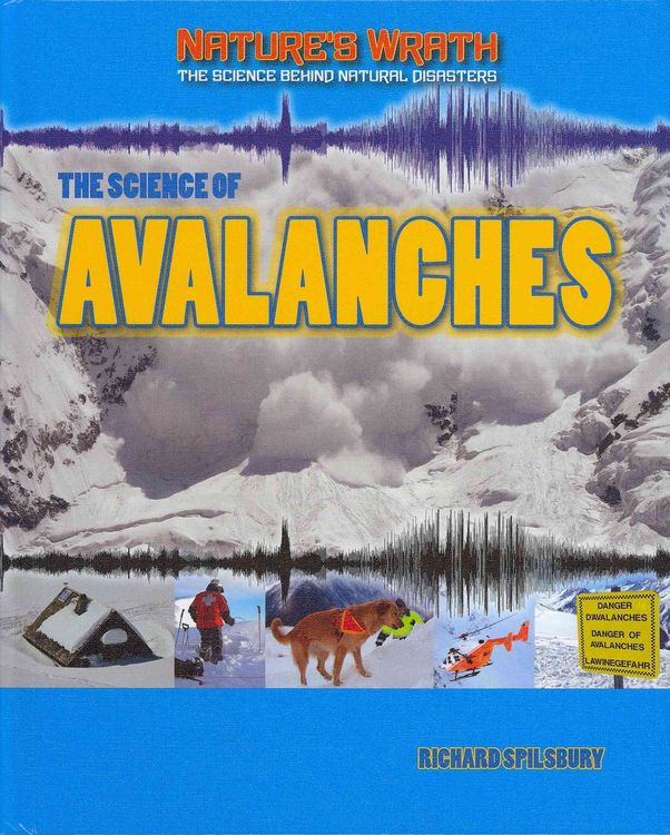 Produktbild: Science Of Avalanches
