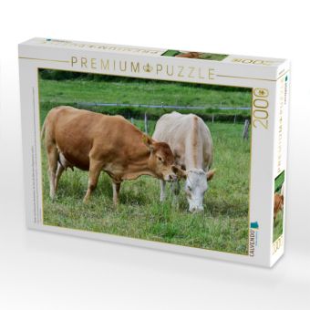 Produktbild: CALVENDO Puzzle Rinder sind klassische Herdentiere, die stets die N&auml;he ihrer Artgenossen suchen. | 2000 Teile Lege-Gr&ouml;&szlig;e 90x67cm Foto-Puzzle f&uuml;r gl&uuml;ck