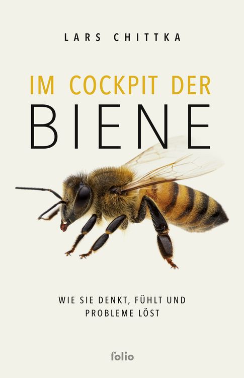 Produktbild: Im Cockpit der Biene