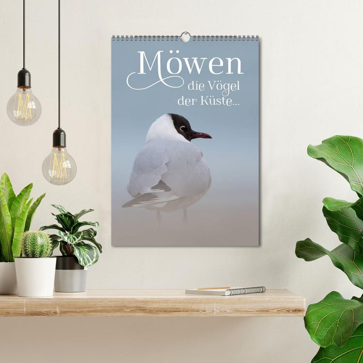 Produktbild: M&ouml;wen - die V&ouml;gel der K&uuml;ste (Wandkalender 2026 DIN A3 hoch), CALVENDO Monatskalender