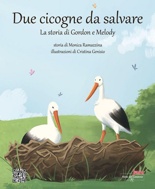 Produktbild: Due cicogne da salvare. La storia di Gordon e Melody