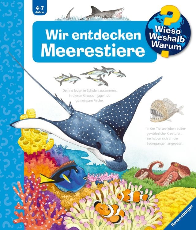 Produktbild: Wieso? Weshalb? Warum? Band 27 - Wir entdecken Meerestiere