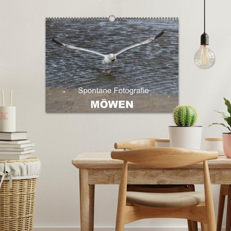 Produktbild: Spontane Fotografie - M&ouml;wen (Wandkalender 2026 DIN A3 quer), CALVENDO Monatskalender