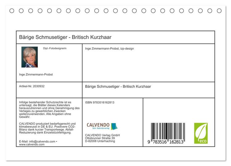 Produktbild: B&auml;rige Schmusetiger - Britisch Kurzhaar (Tischkalender 2026 DIN A5 quer), CALVENDO Monatskalender