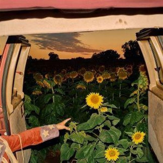 Produktbild: Little Wide Open