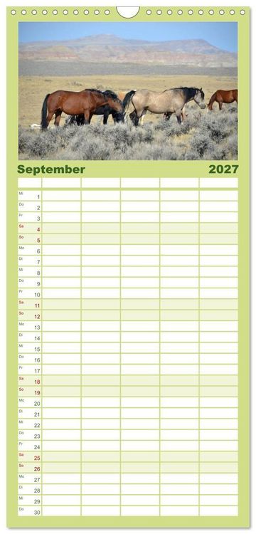 Produktbild: Familienplaner 2027 - Wilde Pferde &bull; Mustangs in USA mit 5 Spalten (Wandkalender, 21 x 45 cm) CALVENDO