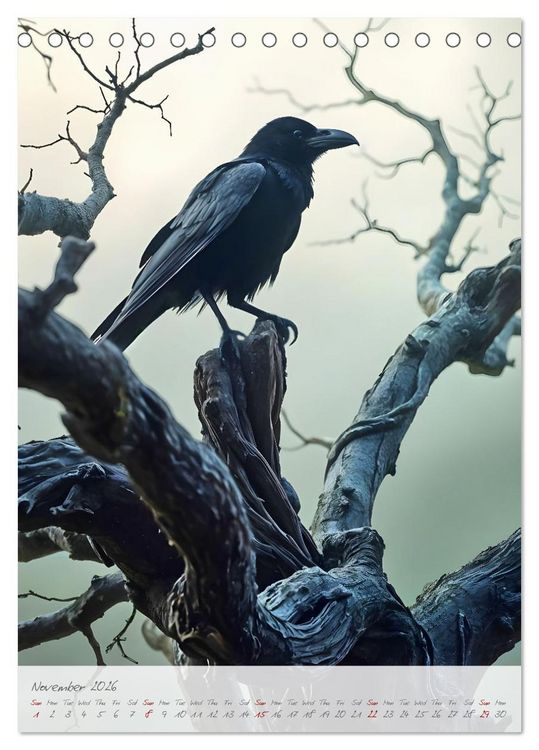 Produktbild: Nocturnal wings - A mystic raven companion for the year (Desk Calendar 2026 DIN A5 portrait), CALVENDO 12 Month DeskCalendar