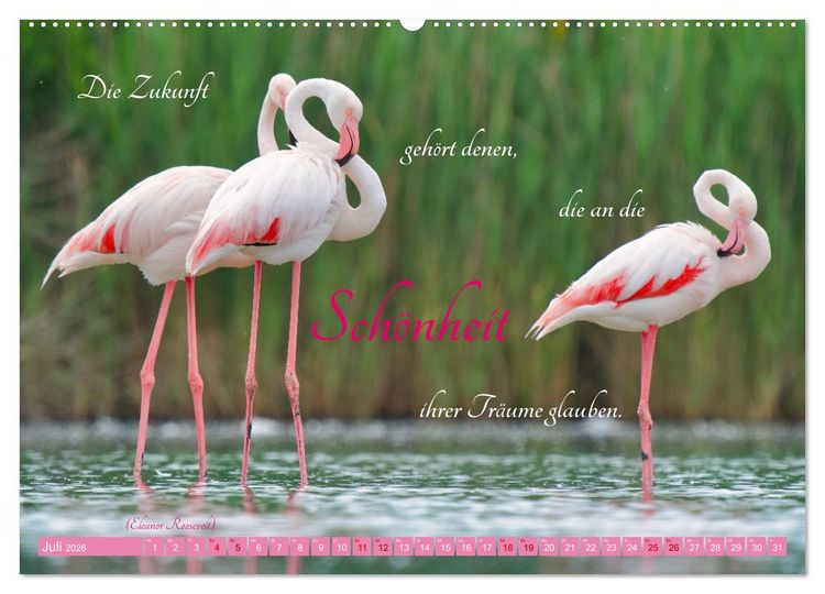 Produktbild: The Power Of Pink (hochwertiger Premium Wandkalender 2026 DIN A2 quer), Kunstdruck in Hochglanz