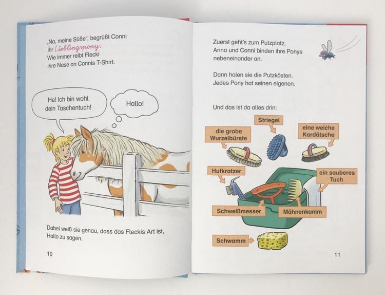 Produktbild: Lesen lernen mit Conni: Conni und das wilde Pony