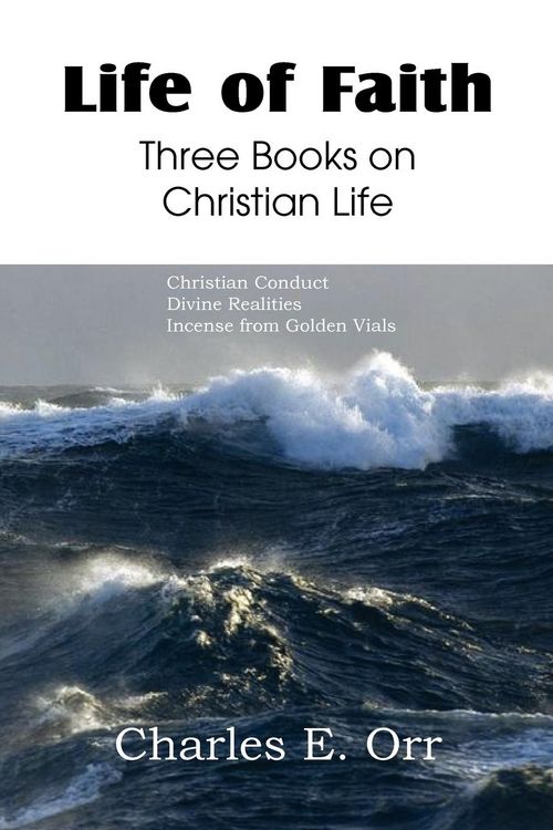 Produktbild: Life of Faith Three Books on Christian Life