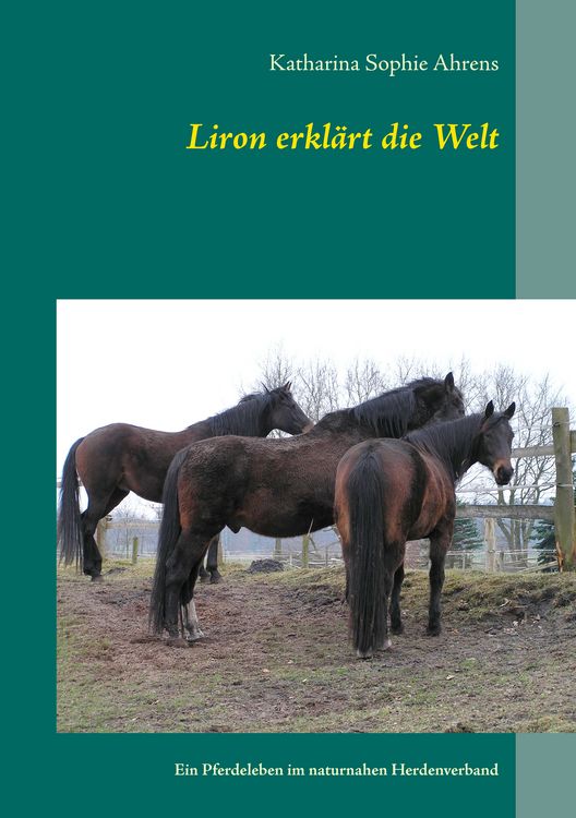 Produktbild: Liron erkl&auml;rt die Welt