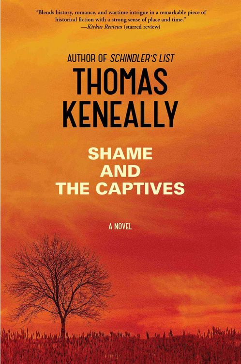Produktbild: Shame & The Captives
