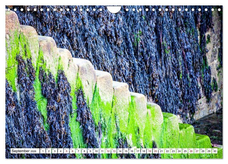 Produktbild: Normandie Die Farben der Ebbe (Wandkalender 2026 DIN A4 quer), CALVENDO Monatskalender