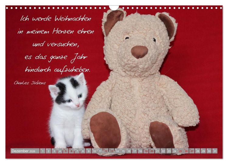 Produktbild: Katzenkinder - zauberhafte Wesen (Wandkalender 2026 DIN A3 quer), CALVENDO Monatskalender