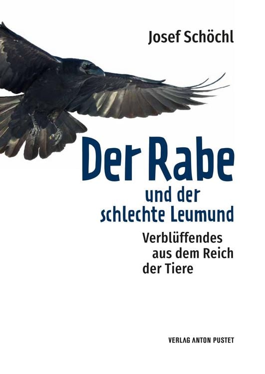 Produktbild: Der Rabe und der schlechte Leumund