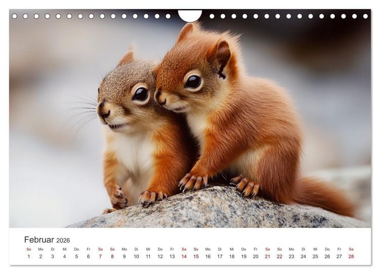 Produktbild: Das geheime Leben der Eichh&ouml;rnchen - Ein Jahr zwischen Baumwipfeln und Nussverstecken (Wandkalender 2026 DIN A4 quer), CALVENDO Monatskalender