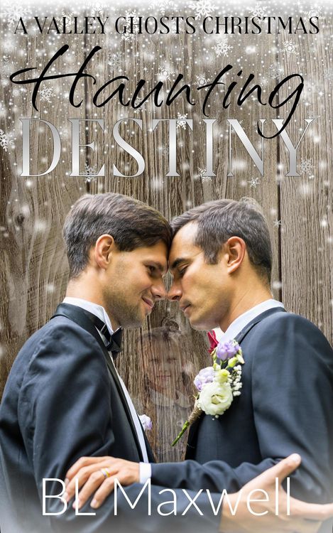 Produktbild: Haunting Destiny (Valley Ghosts Series, #7)