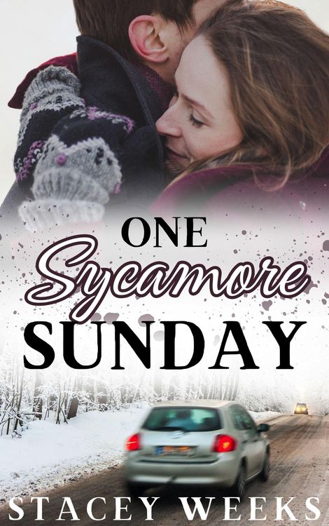 Produktbild: One Sycamore Sunday (Sycamore Hill, #4)