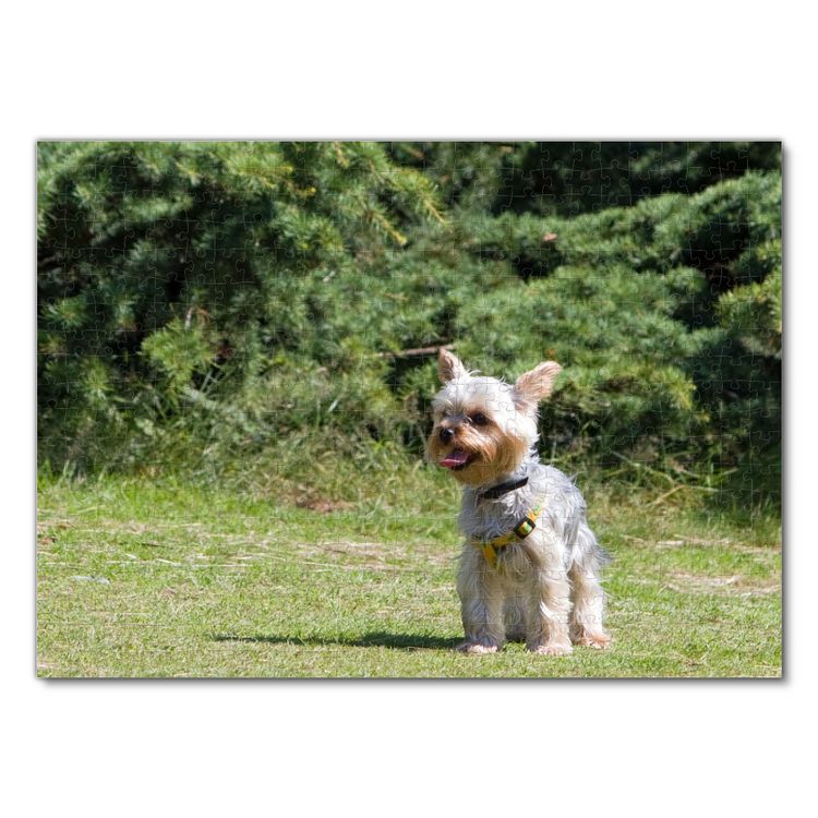 Produktbild: Lais Puzzle Yorkshire 500 Teile