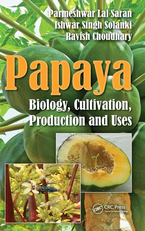 Produktbild: Papaya