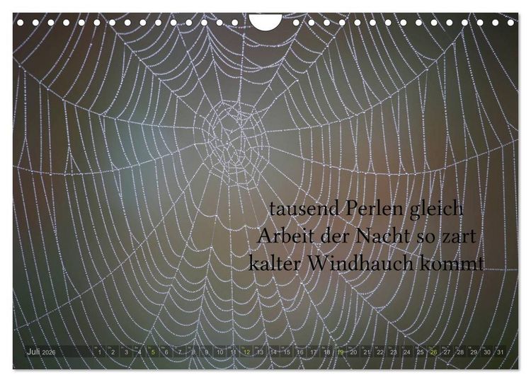 Produktbild: Haiku - Gedichte in 17 Silben (Wandkalender 2026 DIN A4 quer), CALVENDO Monatskalender