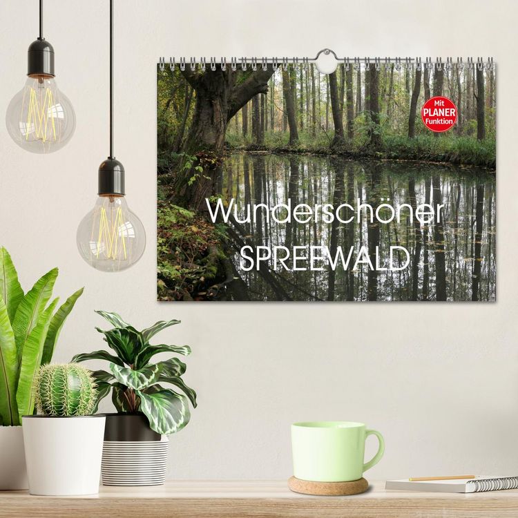 Produktbild: Wundersch&ouml;ner Spreewald (Wandkalender 2026 DIN A4 quer), CALVENDO Monatskalender