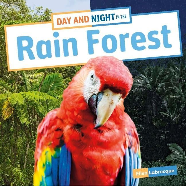 Produktbild: Day and Night in the Rain Forest