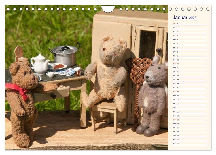 Produktbild: Geliebte B&auml;ren - Teddys (Wandkalender 2026 DIN A4 quer), CALVENDO Monatskalender
