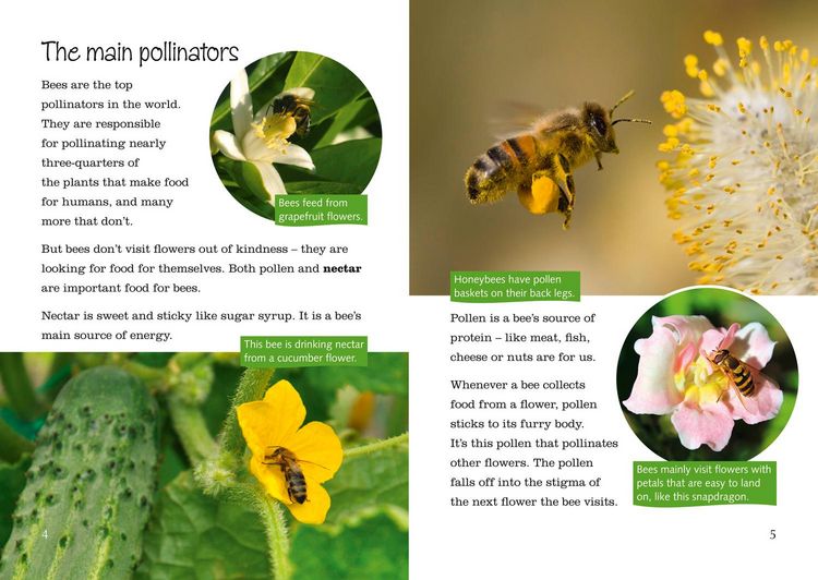 Produktbild: Big Cat - Plants, Pollen