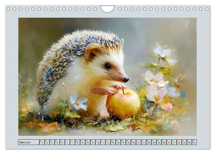 Produktbild: Igel. Kleine Gl&uuml;cksbringer im Garten (Wandkalender 2027 DIN A4 quer), CALVENDO Monatskalender