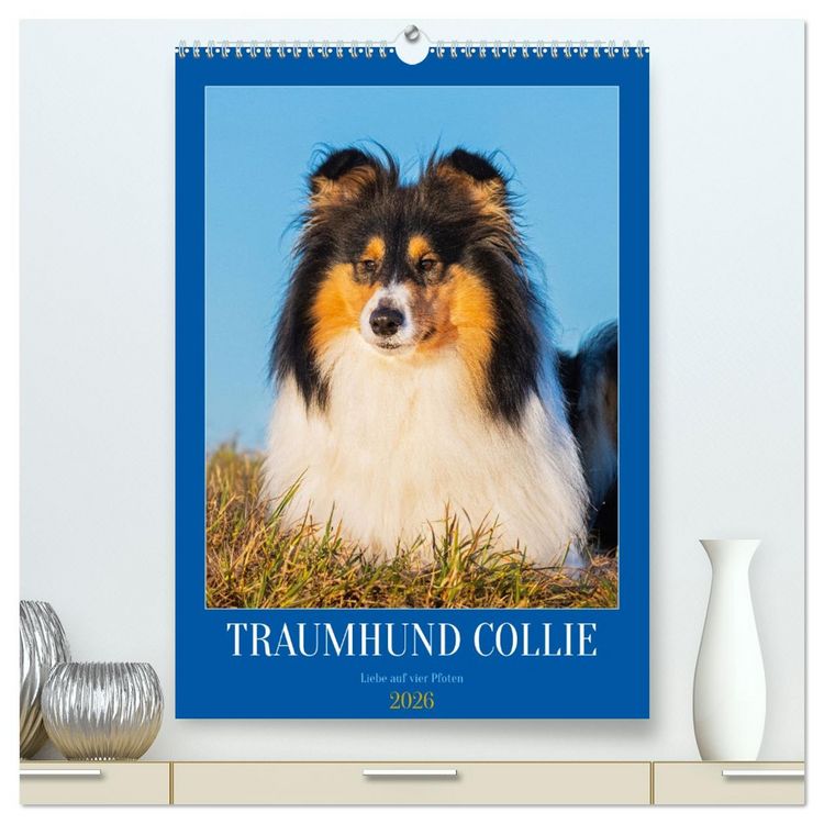 Produktbild: Traumhund Collie - Liebe auf vier Pfoten (hochwertiger Premium Wandkalender 2026 DIN A2 hoch), Kunstdruck in Hochglanz