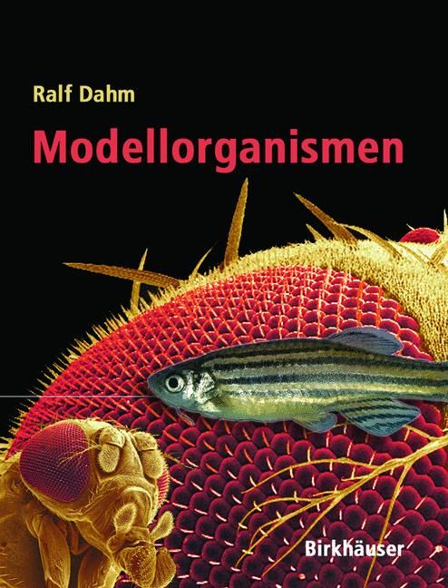Produktbild: Modellorganismen