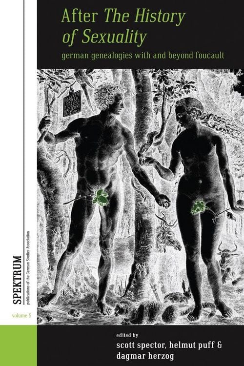 Bild vom Artikel After The History of Sexuality vom Autor Scott Spector