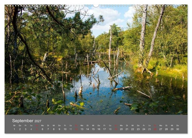 Produktbild: Moor- und Heidelandschaften Niedersachsen (hochwertiger Premium Wandkalender 2027 DIN A2 quer), Kunstdruck in Hochglanz