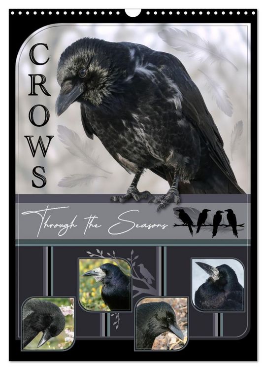 Produktbild: Crows - Through the Seasons (Wall Calendar 2026 DIN A3 portrait), CALVENDO 12 Month Wall Calendar