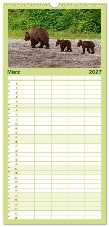 Produktbild: Familienplaner 2027 - Siebenb&uuml;rgen und das Fagaras Gebirge mit 5 Spalten (Wandkalender, 21 x 45 cm) CALVENDO