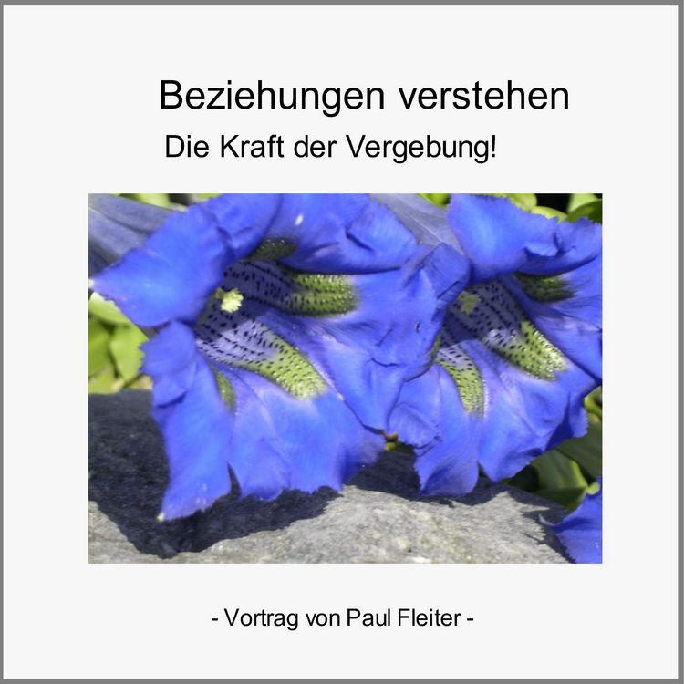 Produktbild: Beziehungen verstehen - Die Kraft der Vergebung