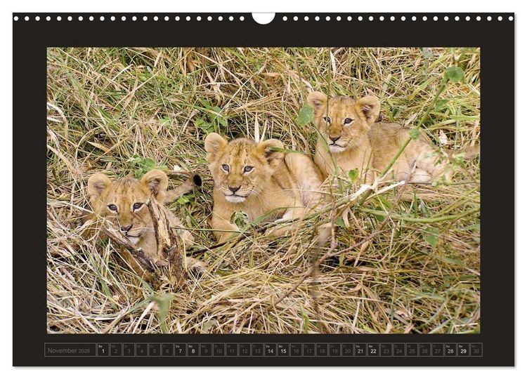 Produktbild: Kenia (Wandkalender 2026 DIN A3 quer), CALVENDO Monatskalender
