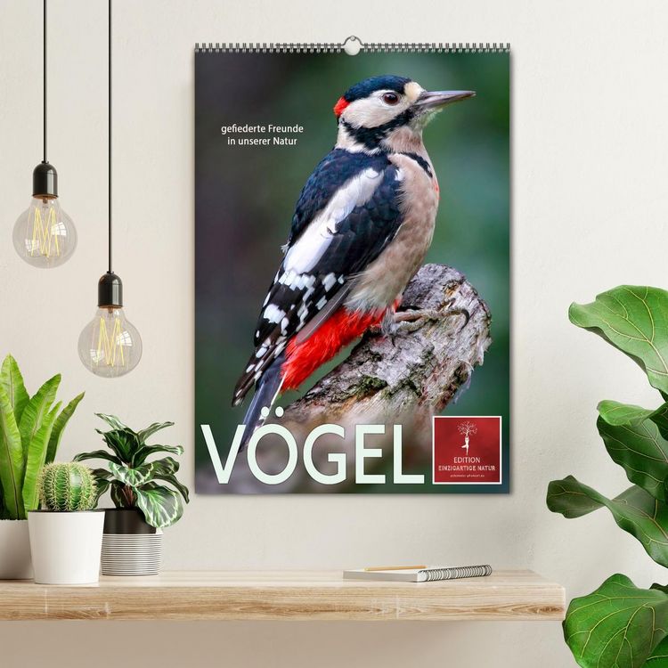 Produktbild: V&ouml;gel - gefiederte Freunde in unserer Natur (Wandkalender 2026 DIN A2 hoch), CALVENDO Monatskalender