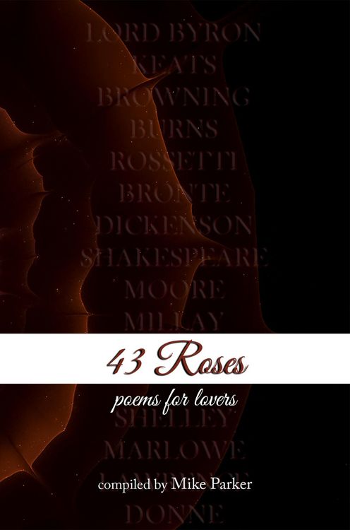 Produktbild: 43 Roses