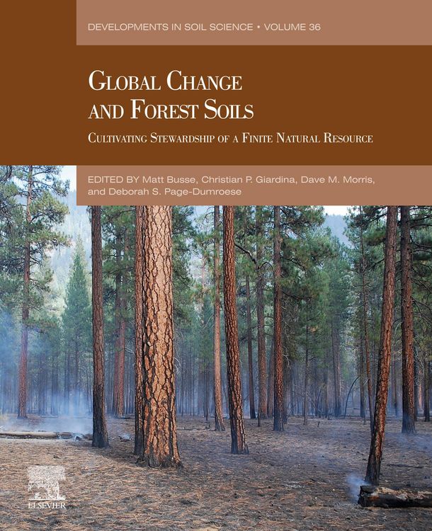 Produktbild: Global Change and Forest Soils