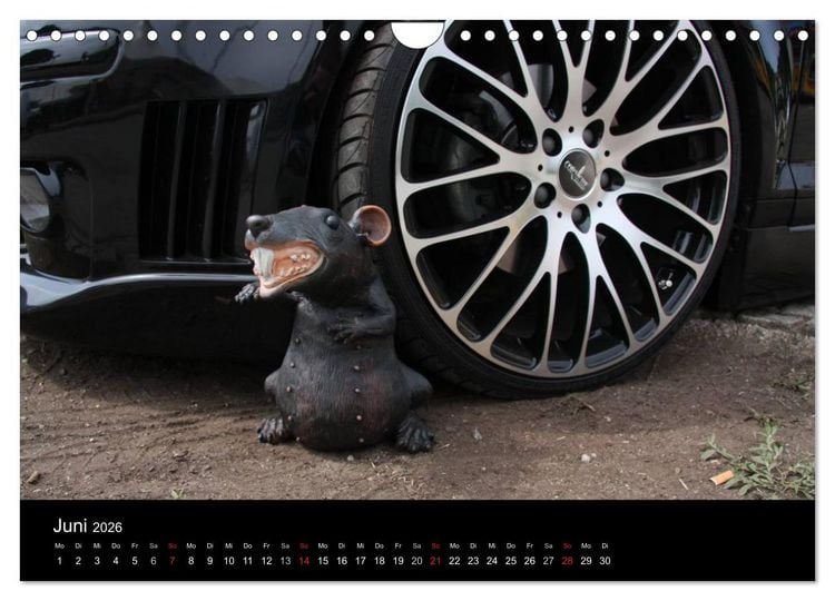 Produktbild: Burnout am W&ouml;rthersee (Wandkalender 2026 DIN A4 quer), CALVENDO Monatskalender