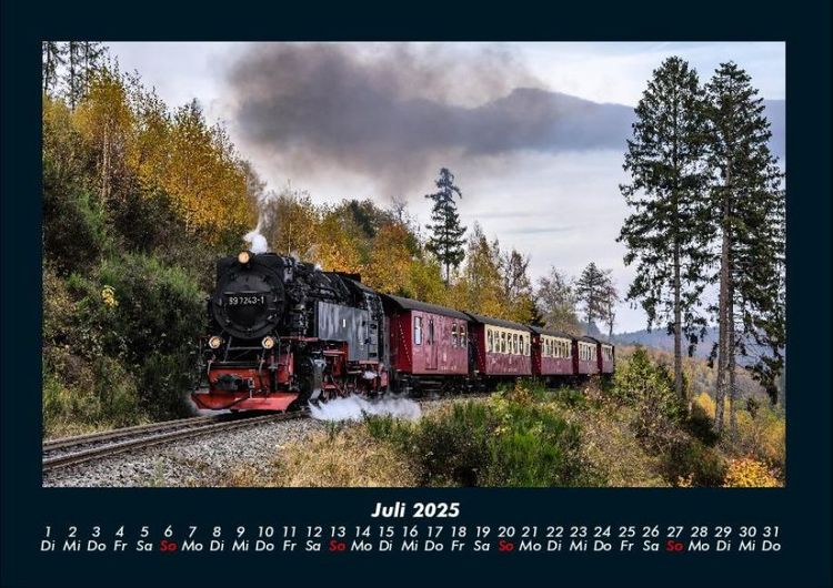 Produktbild: B&auml;ume 2025 Fotokalender DIN A4