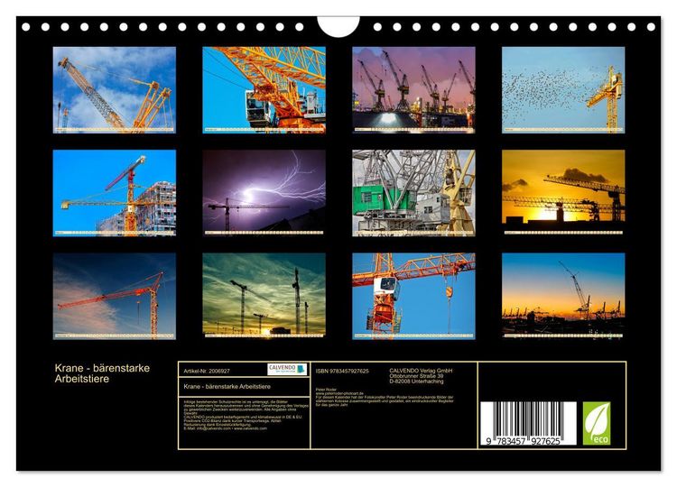 Produktbild: Krane - b&auml;renstarke Arbeitstiere (Wandkalender 2026 DIN A4 quer), CALVENDO Monatskalender