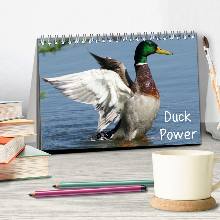 Produktbild: Duck Power (Tischkalender 2026 DIN A5 quer), CALVENDO Monatskalender
