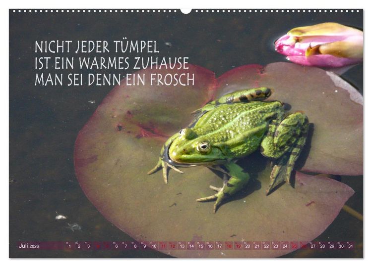 Produktbild: Haiku Poesie in Wort und Bild (Wandkalender 2026 DIN A2 quer), CALVENDO Monatskalender