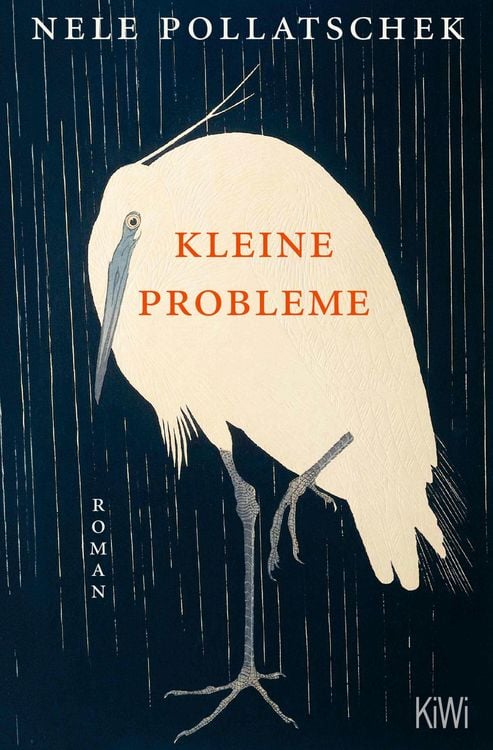 Produktbild: Kleine Probleme
