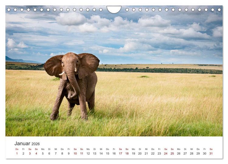 Produktbild: Kenia - Das wundervolle Land in Afrika. (Wandkalender 2026 DIN A4 quer), CALVENDO Monatskalender