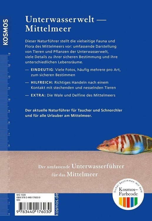 Produktbild: Was lebt im Mittelmeer?