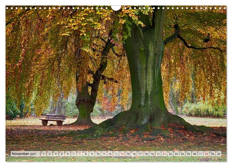 Produktbild: Farben stimmen fr&ouml;hlich - Bunte Foto-Vielfalt in HDR-Technik (Wandkalender 2027 DIN A3 quer), CALVENDO Monatskalender